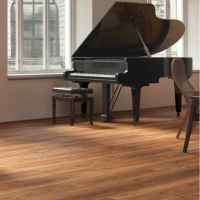 لمینت روت پلاس